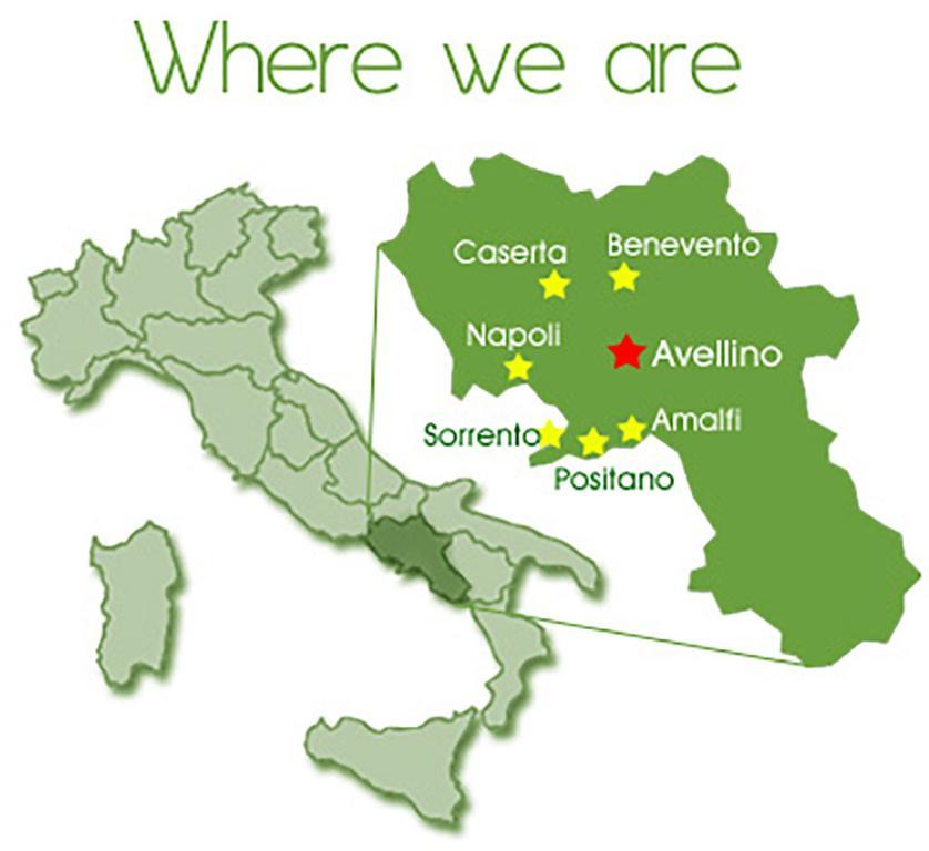 Bed & Breakfast Palmira Quadrelle